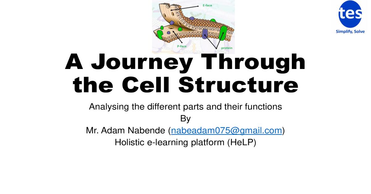 Cell Structure Notes