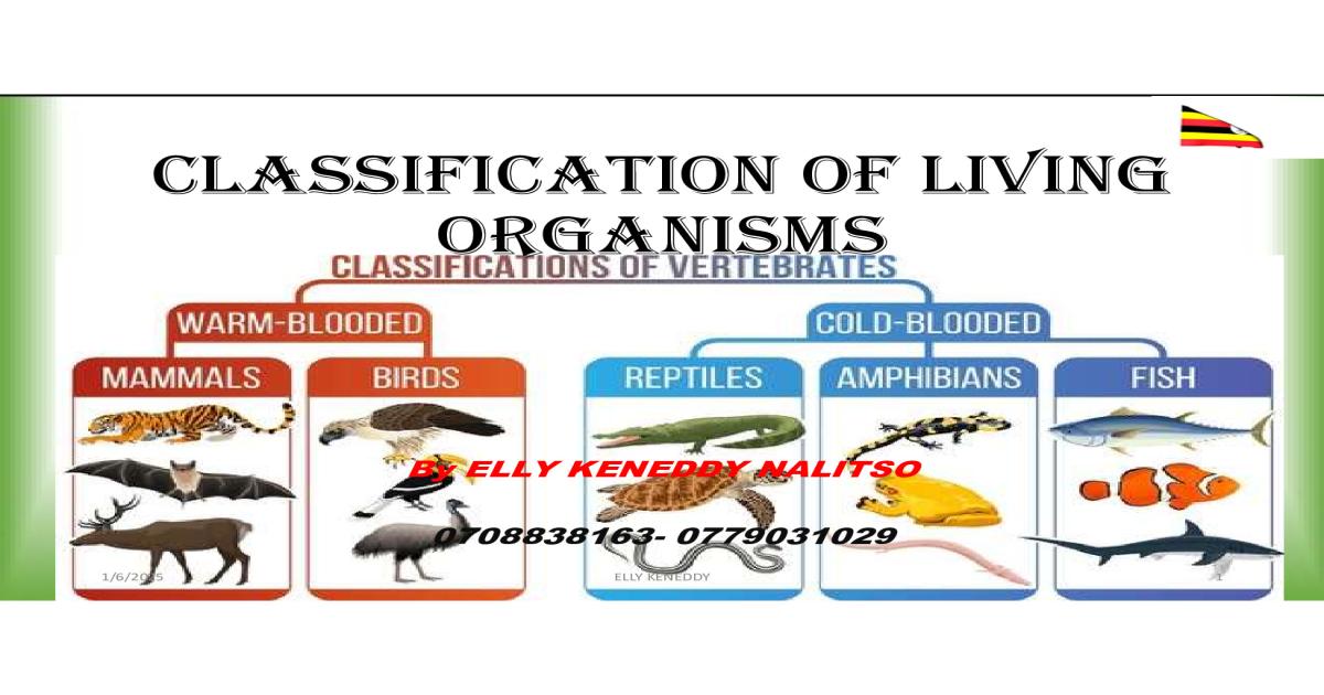 S.5 Classification notes