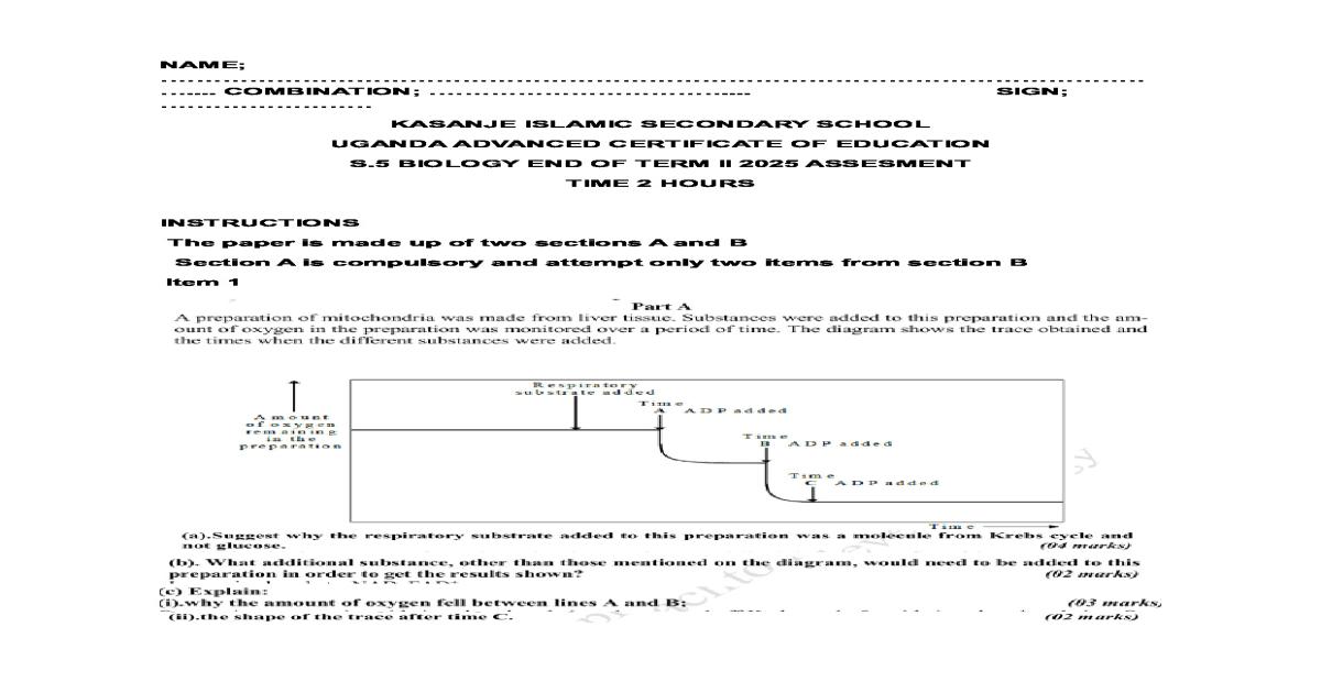 KISS Biology S.5 End of Term 2 Exam Paper 2025