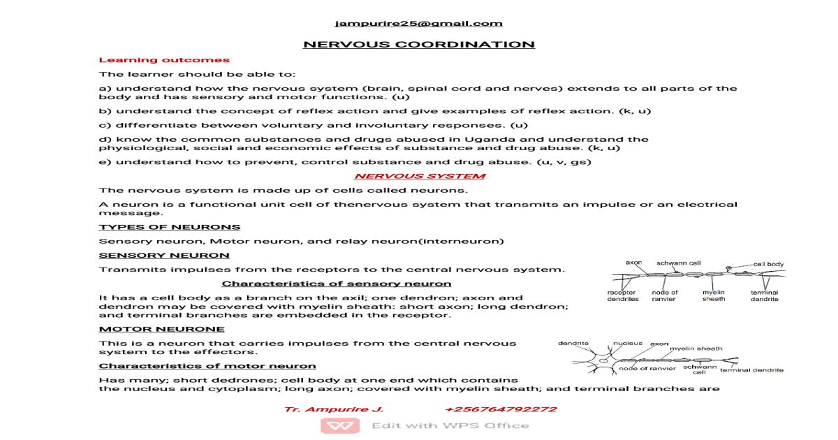 Nervous Coordination Notes  CBC