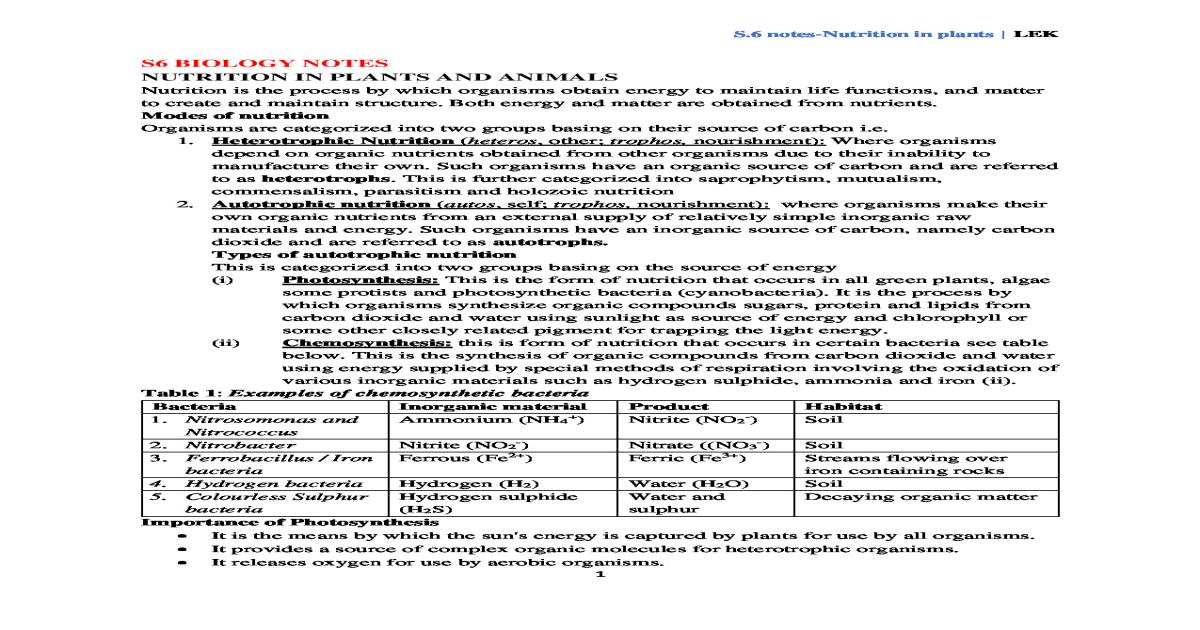S6 Biology: Autotrophic Nutrition Notes