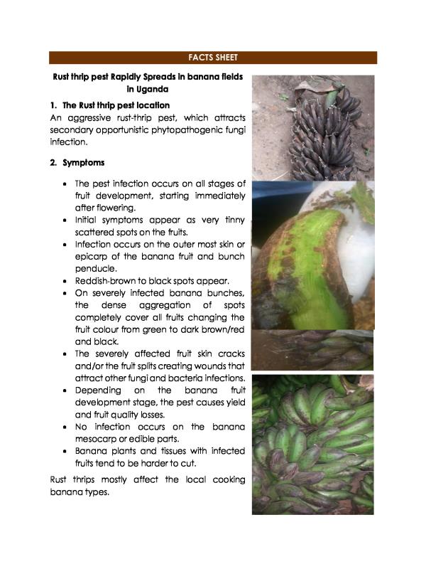 S.2 Crop Production: Banana Disease Control Study Notes & Worksheets