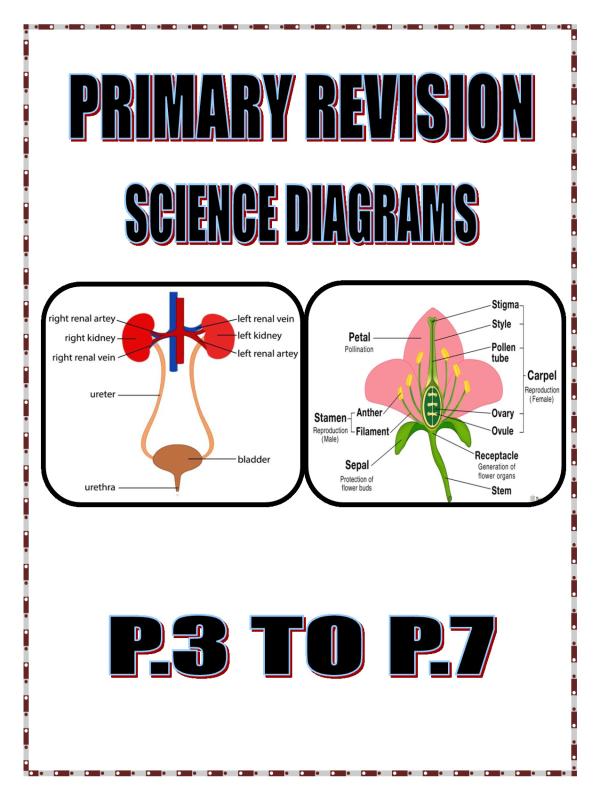 Sci_diagrams_for p3_p7