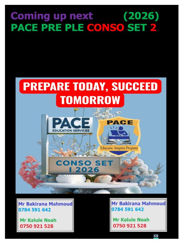Pace sst guide set one