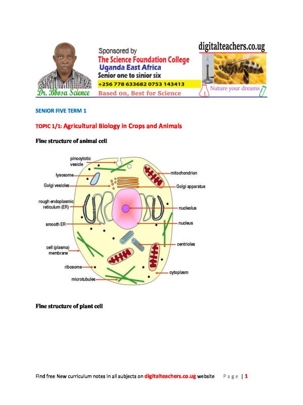 A-Level Agriculture (New Curriculum) - Agricultural Biology in Crops and Animals