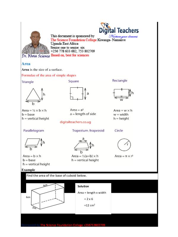 Mathematics: The Area Concept