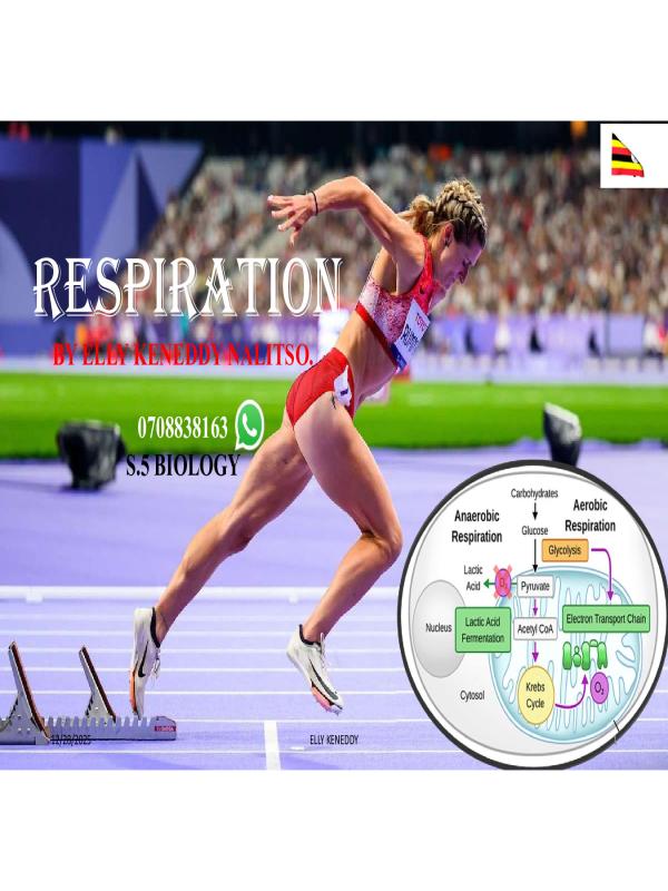 RESPIRATION-SENIOR FIVE BIOLOGY NOTES