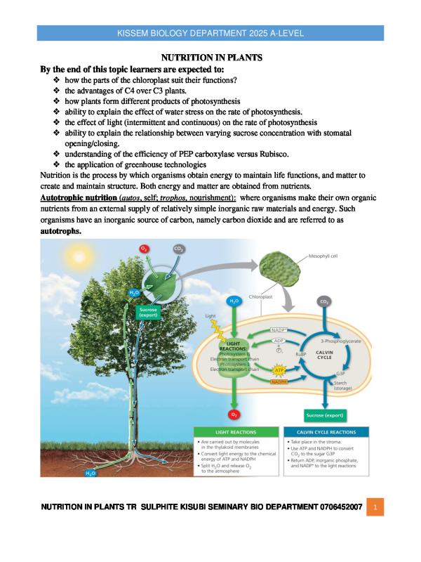 Senior Five Biology Lesson Notes: Autotrophic Nutrition