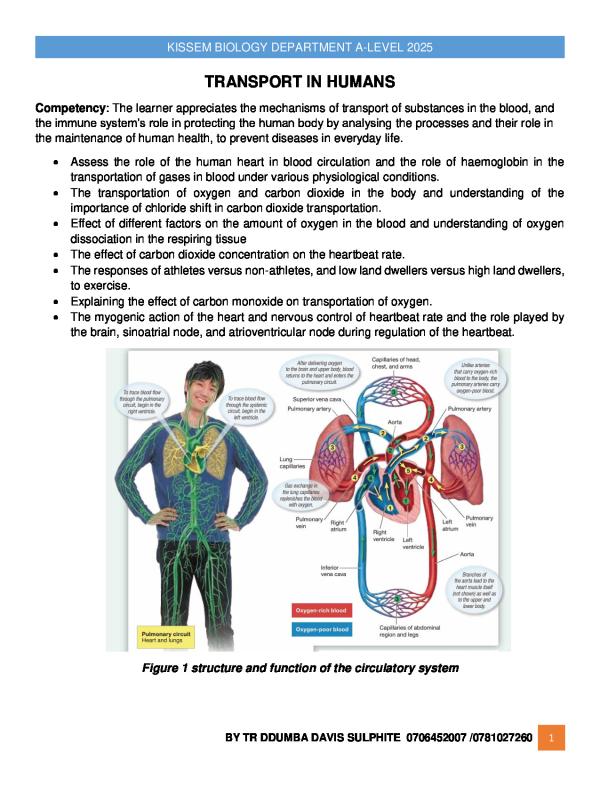 Senior Five Biology Notes: Transport | UNEB A-Level