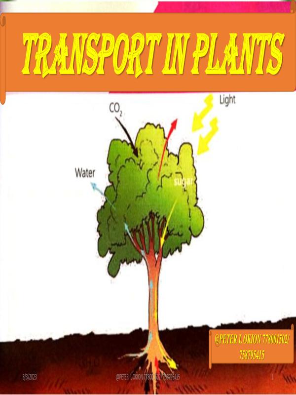 Senior Two Biology Transport Notes