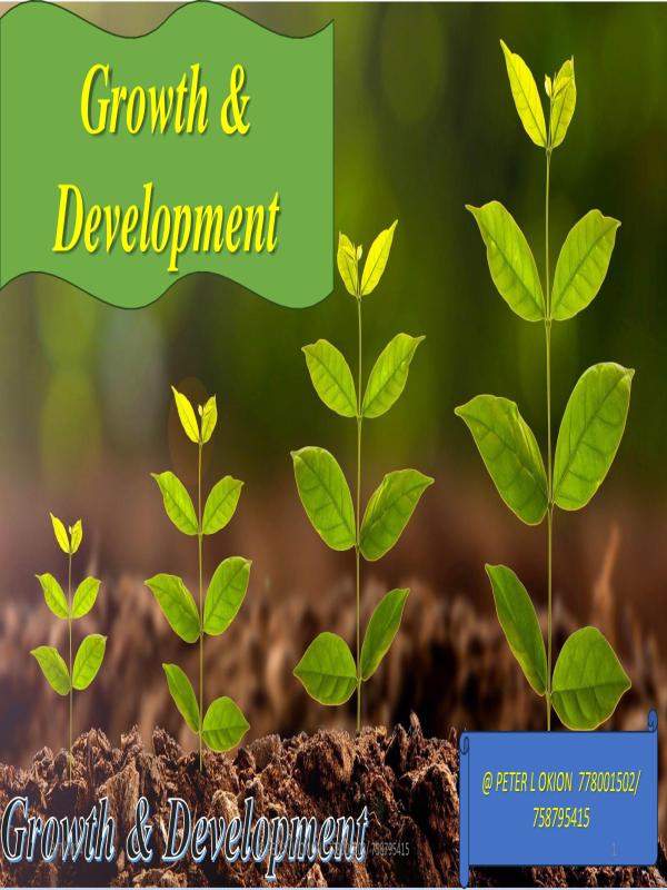 Senior Three (S3) Biology Notes: Growth and Development