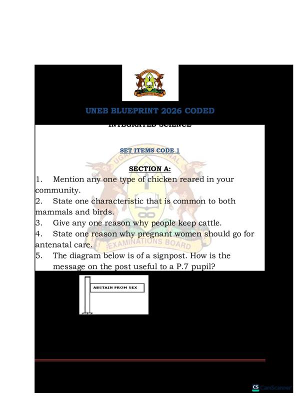 2026 SCI Coded UNEB BLUE PRINT