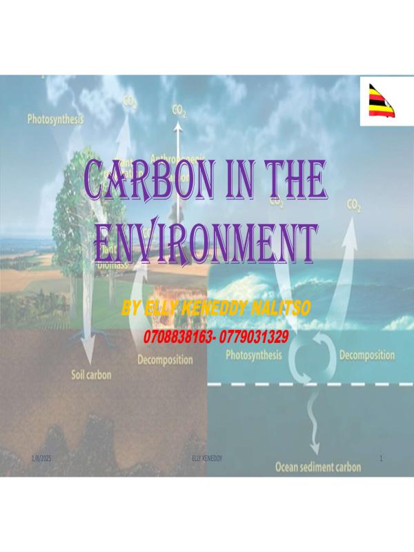 Carbon in the Environment
