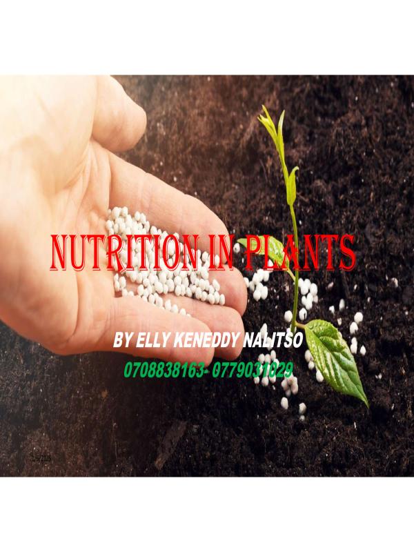 Nutrition in plants