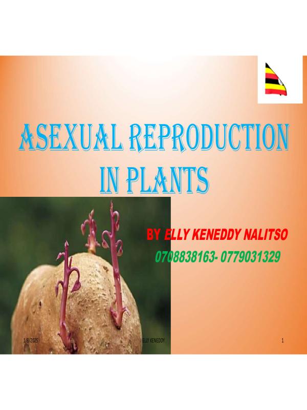 O-Level Biology Asexual Reproduction in Plants Study CBC Notes