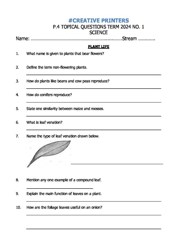 Primary Four (P.4) Science Topical Revision Questions