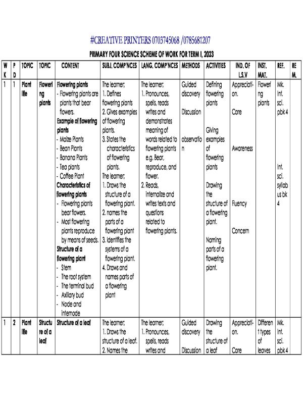 P.4 Science Schemes of Work (Term 1, 2 & 3)